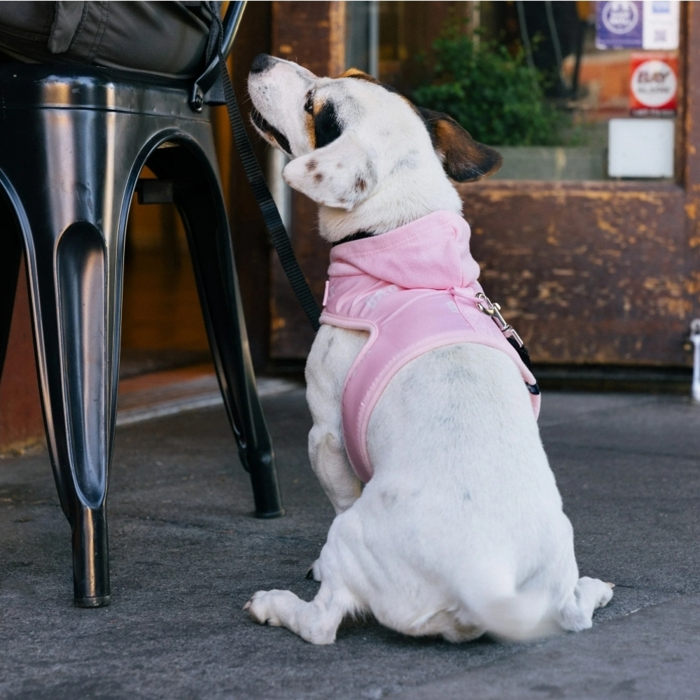 Pink Dog Harness-Gap Xs
